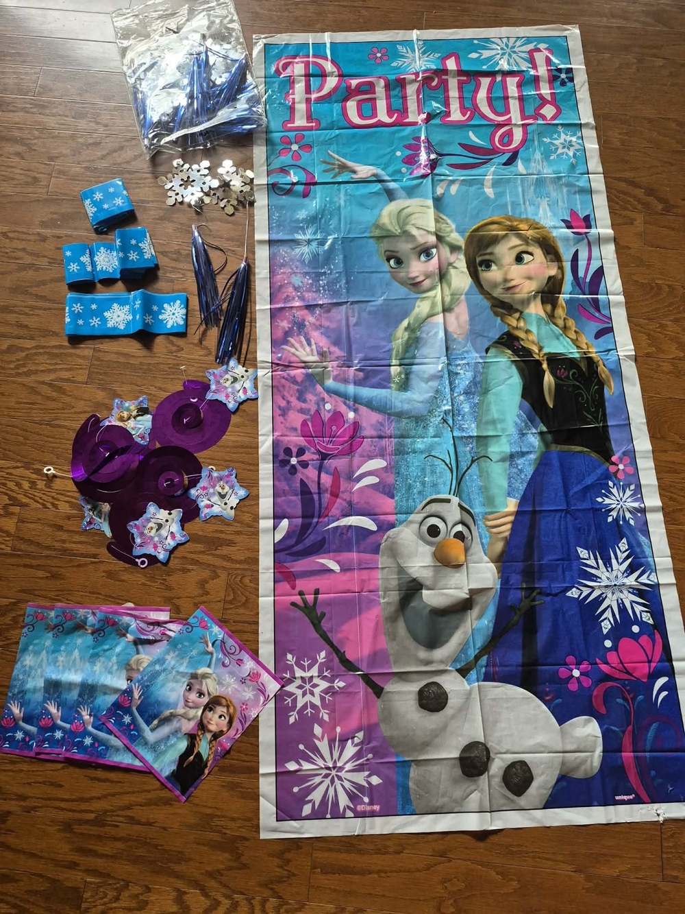 Disney Frozen Party  Decor - Blue, Purple, Pink